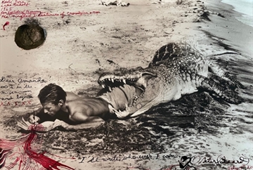 I’ll Write Whenever I Can by Peter Beard